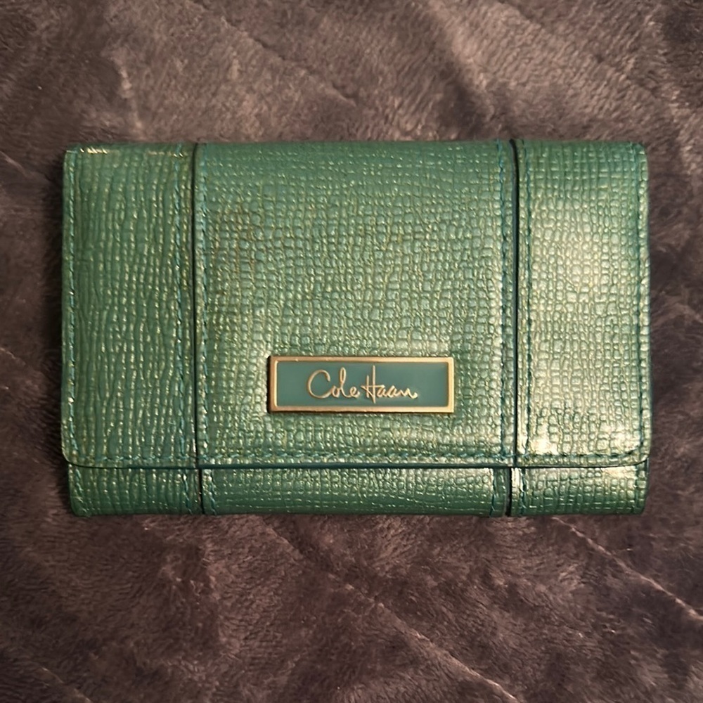 Cole Haan Green Women's Bag - Picture 3 of 5